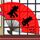 桃花期